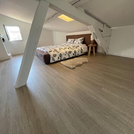 Duplex Quartier Saint-Sernin, Toulouse Daire Dış mekan fotoğraf
